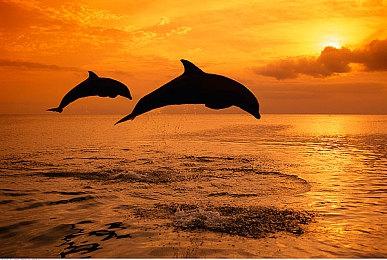 《生化危机4：重制版》新介绍 明天就来拯救碍事梨！